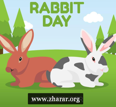 Rabbit day